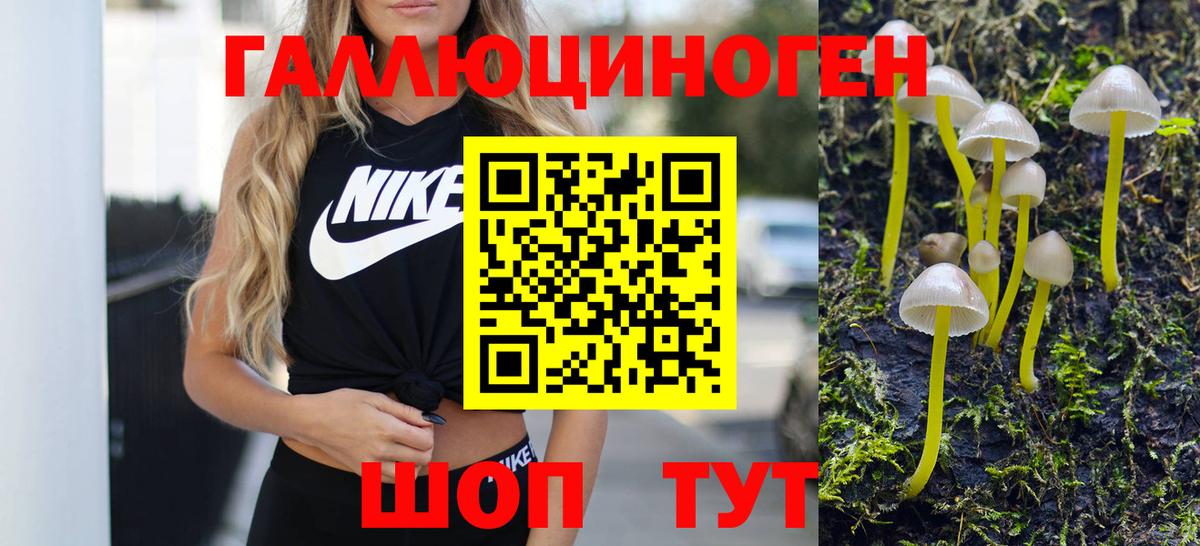 Галлюциногенные грибы мицелий Гагарин