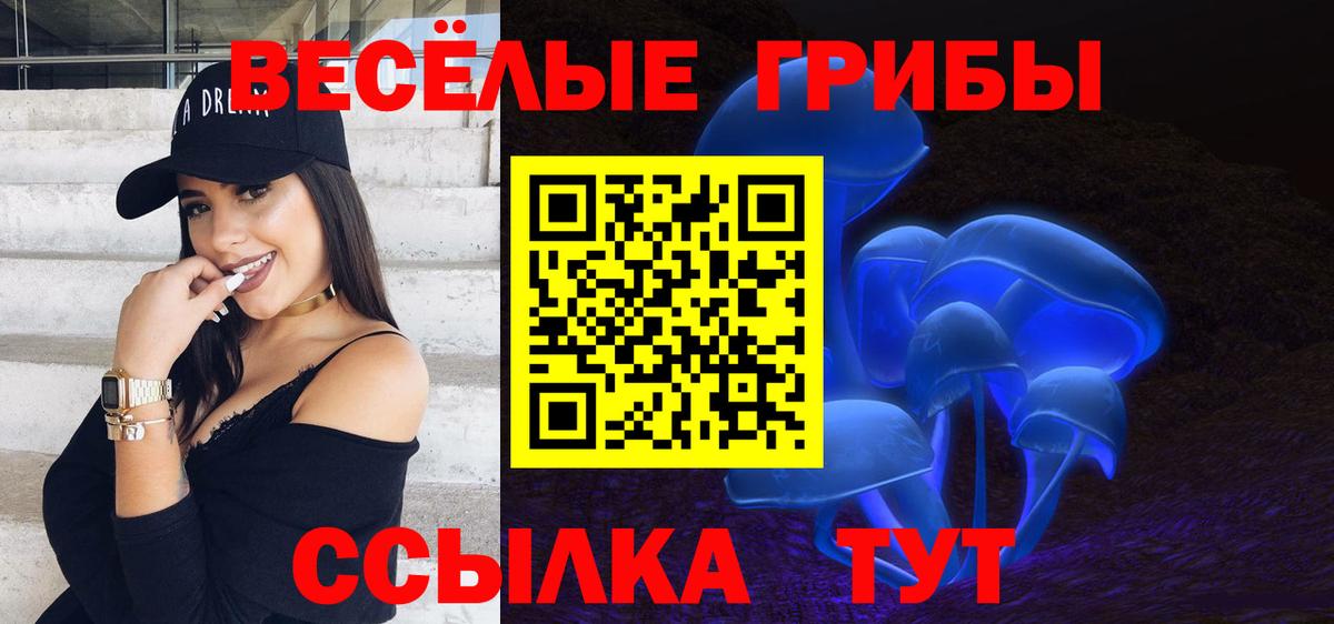 Гагарин  Псилоцибиновые грибы прущие грибы  Вход с VPN  Галлюциногенные грибы Magic Shrooms 